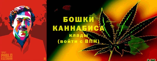 крисы Белоозёрский