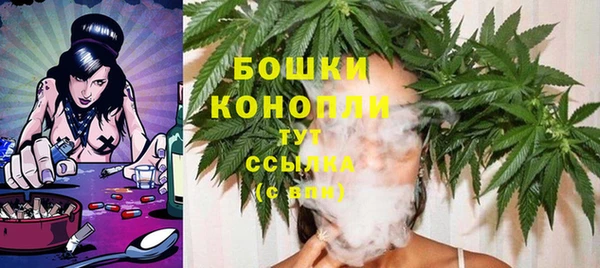 крисы Белоозёрский