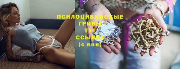крисы Белоозёрский