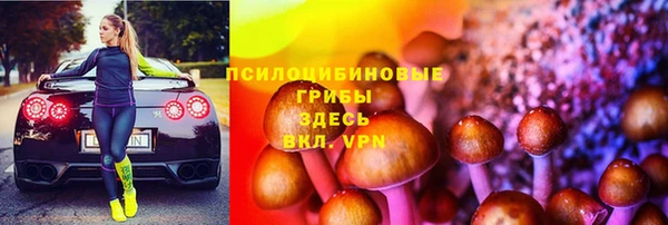 крисы Белоозёрский