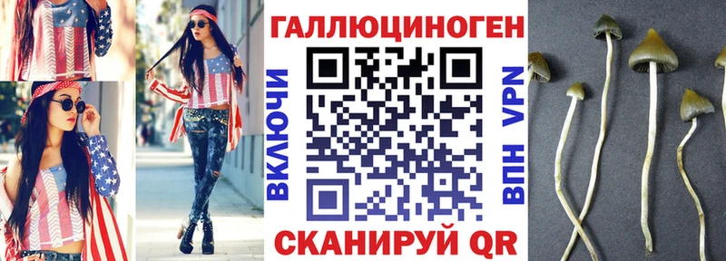блэк спрут рабочий сайт  площадка клад  Псилоцибиновые грибы Psilocybine cubensis  что такое   Верхняя Пышма 